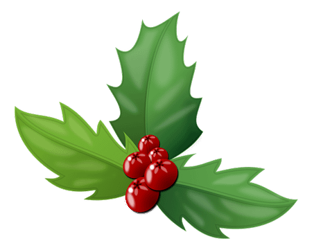 About - Full Color Christmas Lights